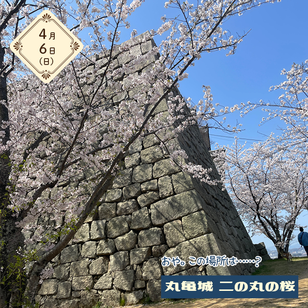 スライドショー画像1