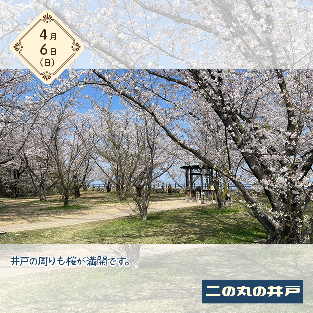 スライドショー画像1