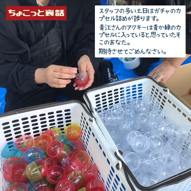 スライドショー画像1