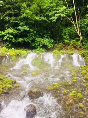 北海道　京極町「しゃっこい祭り」 @ 京極町ふきだし公園 | 京極町 | 北海道 | 日本